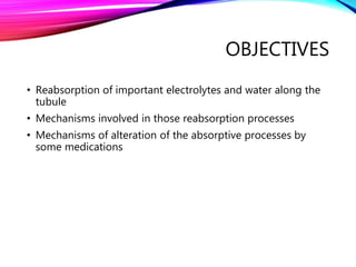 OBJECTIVES
• Reabsorption of important electrolytes and water along the
tubule
• Mechanisms involved in those reabsorption processes
• Mechanisms of alteration of the absorptive processes by
some medications
 