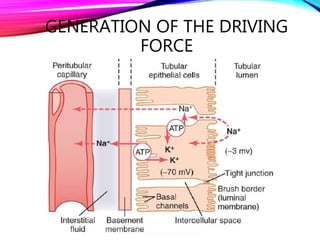 GENERATION OF THE DRIVING
FORCE
 