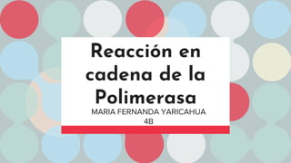 Reacción en
cadena de la
Polimerasa
MARIA FERNANDA YARICAHUA
4B
 