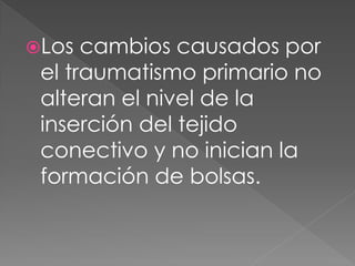Los  cambios causados por
 el traumatismo primario no
 alteran el nivel de la
 inserción del tejido
 conectivo y no inician la
 formación de bolsas.
 