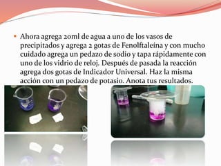  Ahora agrega 20ml de agua a uno de los vasos de 
precipitados y agrega 2 gotas de Fenolftaleína y con mucho 
cuidado agrega un pedazo de sodio y tapa rápidamente con 
uno de los vidrio de reloj. Después de pasada la reacción 
agrega dos gotas de Indicador Universal. Haz la misma 
acción con un pedazo de potasio. Anota tus resultados. 
 