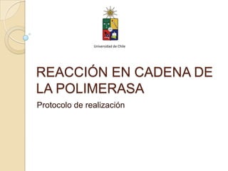 Universidad de Chile




REACCIÓN EN CADENA DE
LA POLIMERASA
Protocolo de realización
 