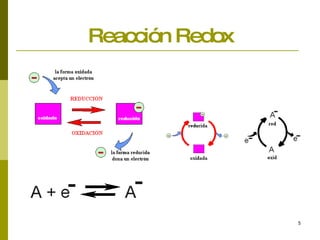 Reacción Redox 