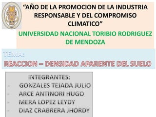 “AÑO DE LA PROMOCION DE LA INDUSTRIA
RESPONSABLE Y DEL COMPROMISO
CLIMATICO”
UNIVERSIDAD NACIONAL TORIBIO RODRIGUEZ
DE MENDOZA
 
