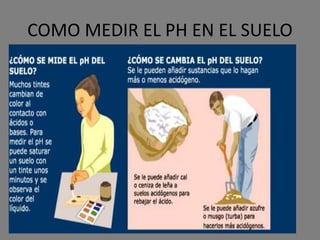 COMO MEDIR EL PH EN EL SUELO
 