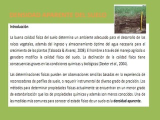 DENSIDAD APARENTE DEL SUELO
 