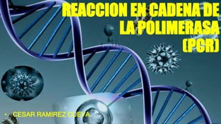 REACCION EN CADENA DE
LA POLIMERASA
(PCR)
• CESAR RAMIREZ CUEVA.
 