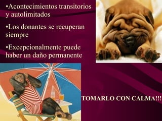 Acontecimientos transitorios y autolimitados Los donantes se recuperan siempre Excepcionalmente puede haber un daño permanente TOMARLO CON CALMA!!!! 