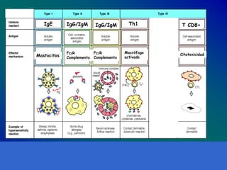 Reacciones De Hipersensibilidad