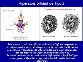 Reacciones De Hipersensibilidad