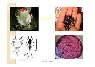 Dr. Miyagui Namikawa   Rincón de Alergia
Enero 2010
                       Dr. Jose Mª Negro
 