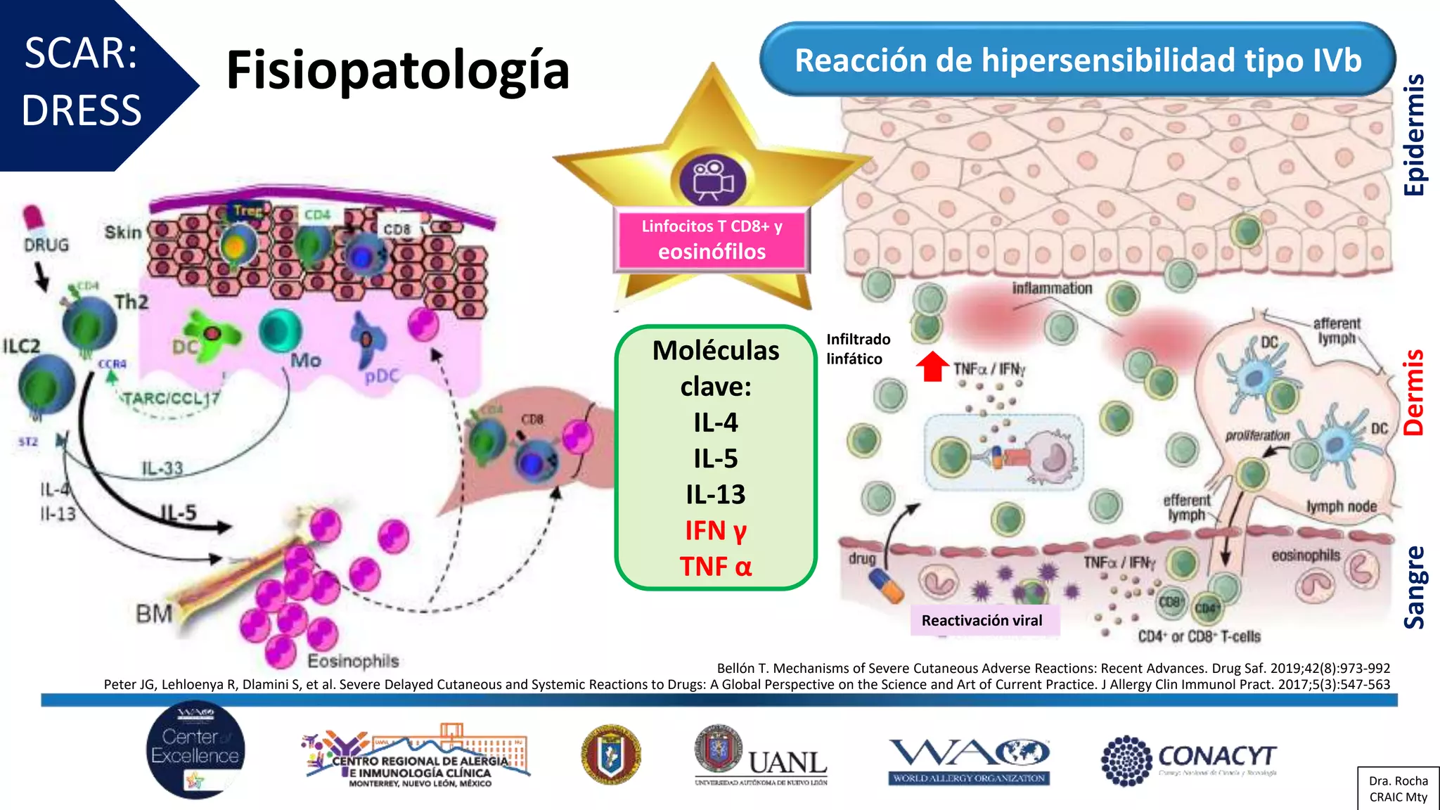 Picture of Image result for researchers and policy