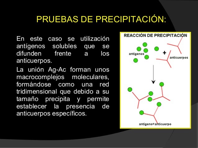 Reacciones antígeno anticuerpo