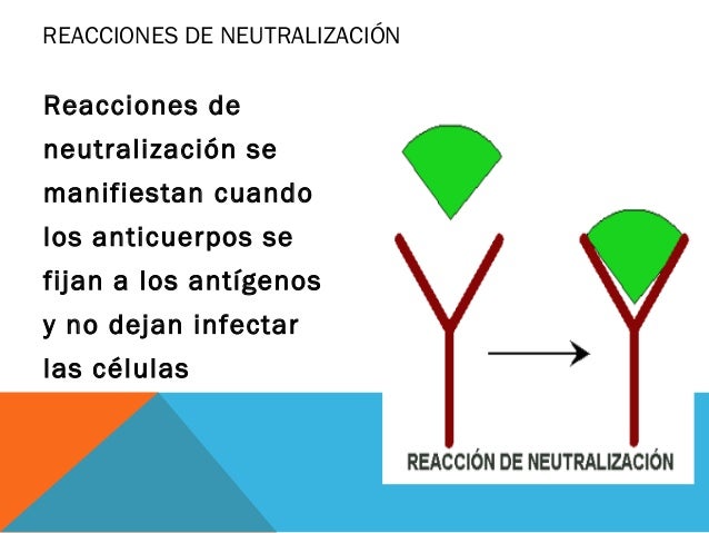 Reacciones antígeno,anticuerpo
