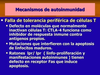 Mecanismos de autoinmunidad Falla de tolerancia periférica de células T Defecto en moléculas que normalmente inactivan células T: CTLA-4 funciona como inhibidor de respuesta inmune contra antígenos propios. Mutaciones que interfieren con la apoptosis de linfocitos maduros. Ratones  lpr/ lpr  ( linfo-proliferación y manifestaciones autoinmunes ) tienen defecto en receptor Fas que induce  apoptosis. 