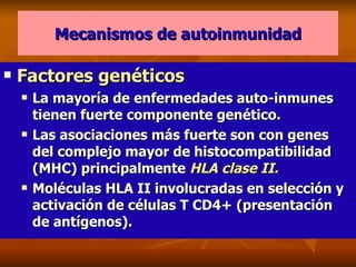 Mecanismos de autoinmunidad Factores genéticos La mayoría de enfermedades auto-inmunes tienen fuerte componente genético. Las asociaciones más fuerte son con genes del complejo mayor de histocompatibilidad (MHC) principalmente  HLA clase II. Moléculas HLA II involucradas en selección y activación de células T CD4+ (presentación de antígenos). 