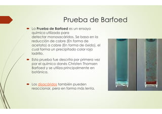 Reacciones de los carbohidratos | PDF