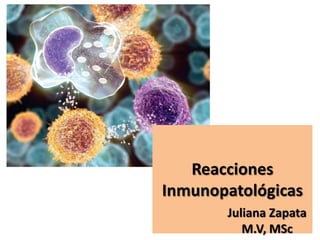 Reacciones
Inmunopatológicas
Juliana Zapata
M.V, MSc
 