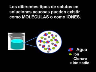 Los diferentes tipos de solutos en
soluciones acuosas pueden existir
como MOLÉCULAS o como IONES.




                               Agua
                               Ión
                               Cloruro
                              Ión sodio
 