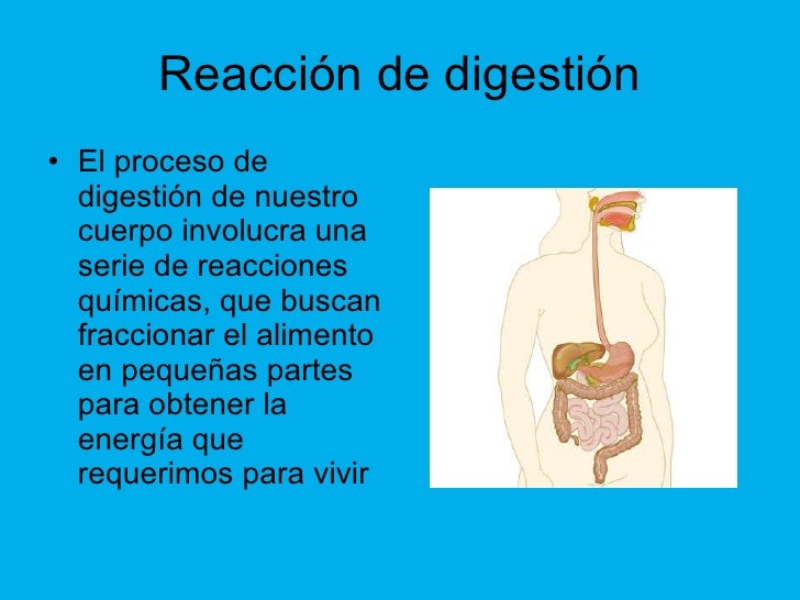 Reacciones quimica sj33
