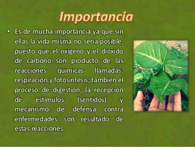 Reacciones químicas