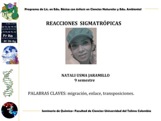 REACCIONES  SIGMATRÓPICAS NATALI USMA JARAMILLO 9 semestre  PALABRAS CLAVES: migración, enlace,   transposiciones.  
