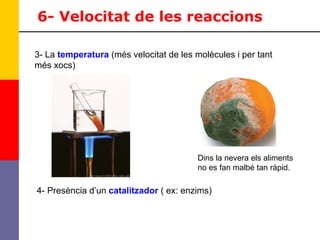 6- Velocitat de les reaccions 3- La  temperatura  (més velocitat de les molècules i per tant més xocs) 4- Presència d’un  catalitzador  ( ex: enzims) Dins la nevera els aliments no es fan malbé tan ràpid. 