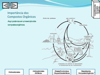 Importância dos Compostos Orgânicos Aqui podemos ver um exemplo dos compostos orgânicos. Importância dos Compostos Orgânicos Classes Funcionais e Grupos Característicos Hidrocarbonetos Alifáticos  Hidrocarbonetos Reacções dos Compostos Orgânicos 