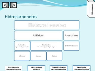 Hidrocarbonetos Classes Funcionais e Grupos Característicos Hidrocarbonetos Alifáticos  Reacções dos Compostos Orgânicos Hidrocarbonetos Importância dos Compostos Orgânicos 