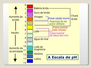 A Escala de pH 
