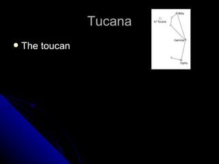 Tucana The toucan 