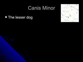 Canis Minor The lesser dog 