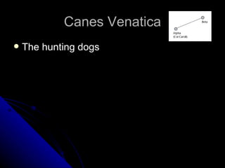 Canes Venatica The hunting dogs 