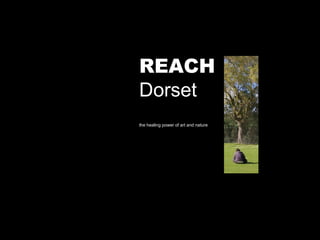 REACH Dorset the healing power of art and nature 