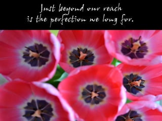 Just beyond our reach
is the perfection we long for.