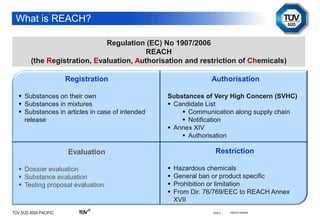 Reach Regulation Visual REACH | PPTX