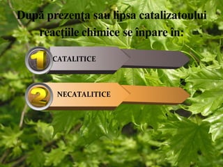 CATALITICE 
NECATALITICE 
 