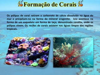 Formação de Corais
Os pólipos de coral retiram o carbonato de cálcio dissolvido na água do
mar e pricipitam-no na forma do mineral aragonite. Isto acontece na
forma de um esqueleto em forma de taça, denominado coralite, onde os
pólipos vivem. Os recifes de corais existem nas águas limpas das regiões
tropicais.
 
