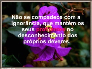 Não se compadece com a ignorância, que mantém os seus  profitentes  no desconhecimento dos próprios deveres.  