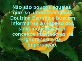 Não são poucos aqueles que  se  interessam  pela Doutrina Espírita e buscam informar-se a respeito dos seus incomparáveis conceitos libertadores da ignorância e da superstição. 