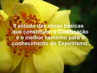 0 estudo das obras básicas que constituem a Codificação é o melhor caminho para o conhecimento do Espiritismo.    