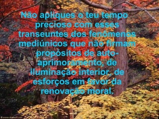 Não apliques o teu tempo precioso com esses transeuntes dos fenômenos mediúnicos que não firmam propósitos de auto-aprimoramento, de iluminação interior, de esforços em favor da renovação moral. 