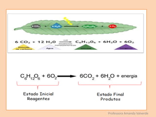 Professora Amanda Valverde
 