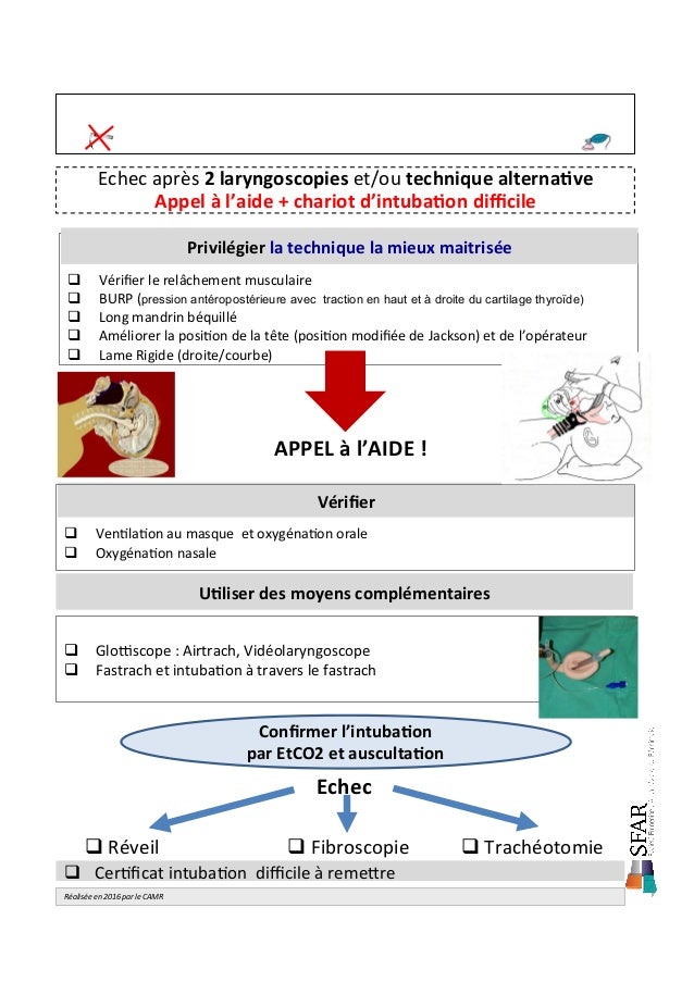 Reanimation CAT compil