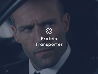 Protein
Transporter
28
 