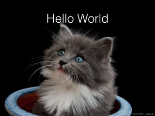 Hello World
Thorsten Müller / pixelio.de
 