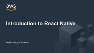 © 2017, Amazon Web Services, Inc. or its Affiliates. All rights reserved.
Adrian Hall, AWS Mobile
Introduction to React Native
 