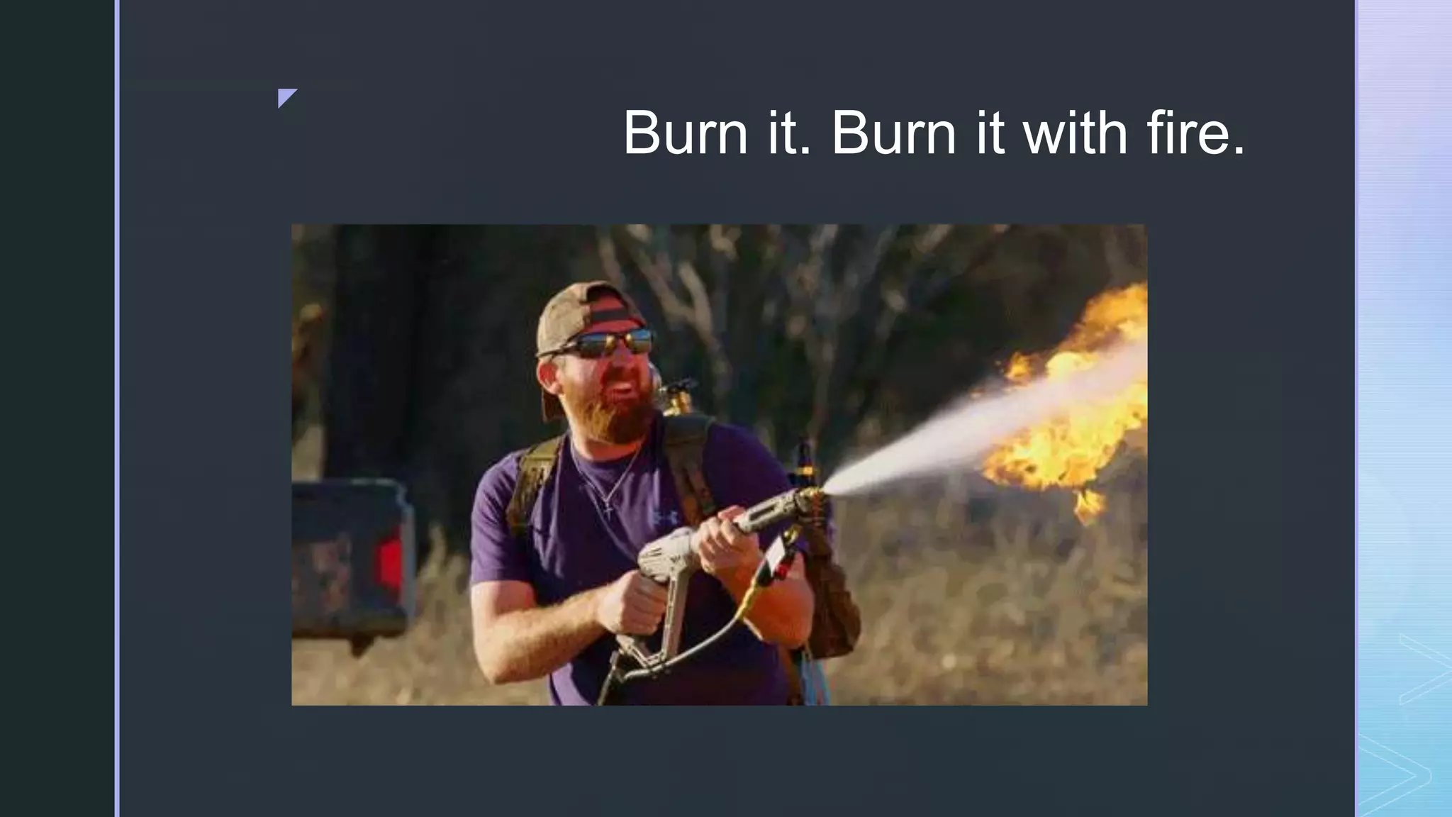 z Burn it. Burn it with fire. 