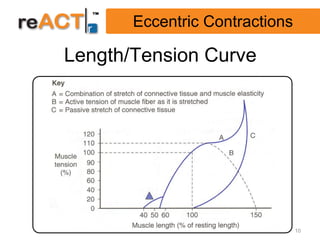 Eccentric Contractions

Length/Tension Curve




                                10
 