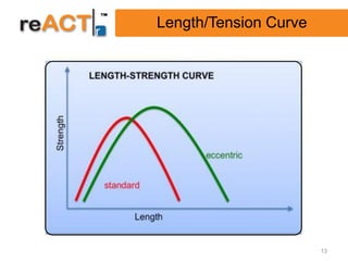 Length/Tension Curve




                       13
 
